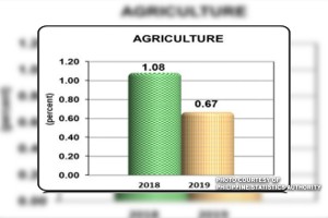 Agricultural output grows 0.67% in Q1 