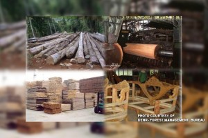 Forest product Oct. exports receipts up