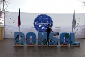 Sorsogon town offers ‘butanding’ tourism