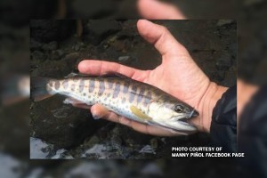 PH lifts ban on several fish species from Fukushima 