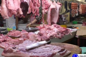 Go cites need for pork, chicken price ceiling