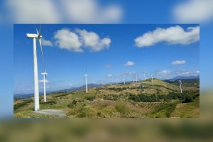 Developing ‘green’ economy through PPP 