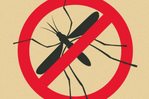 DILG-Bicol directs local execs to act vs. dengue