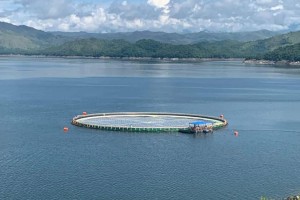 Tawi-tawi gets 1st floating solar farm