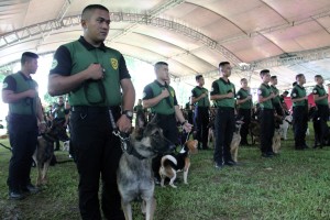 PDEA acquires 100 dogs, handlers for intensified anti-drug ops