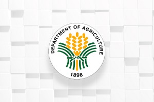 Government boosts support services to farmers, fisherfolk 