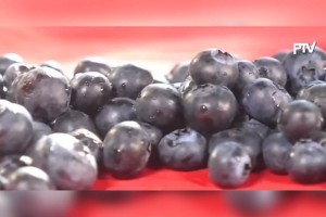 New studies show diverse benefits of eating blueberries