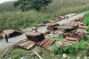 P1.3-M 'hot logs' seized in Zambo Sur