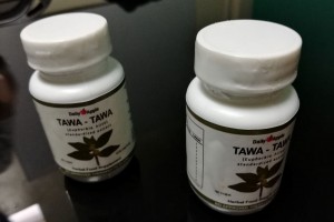  NegOcc-based producer markets ‘anti-dengue’ tawa-tawa extract