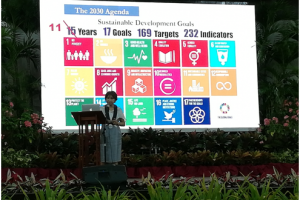 S&T crucial in sustainable dev't action plans: NEDA