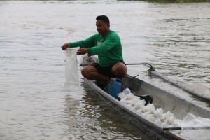 BFAR, Cebu island town institutionalize multi-species hatchery ops