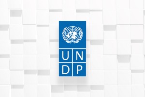 UNDP report calls for sustainable biz models to attain SDGs