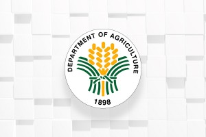 Over 2K farmers, coops in Camarines Sur get P75-M aid from DA