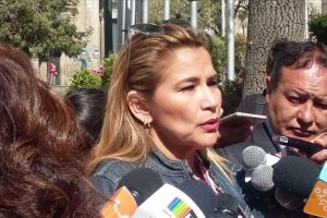 Bolivian senator declares herself interim president