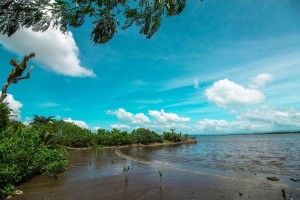 Shellfish ban up in Tacloban’s Cancabato Bay