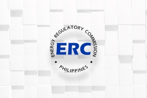 Marcos names new ERC OIC