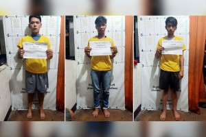 Village chief's son, 2 others nabbed in Taguig drug bust