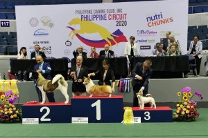 Show highlights importance of responsible pet ownership