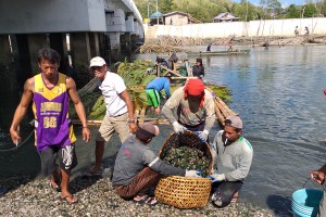 8 Samar bays turn positive for red tide