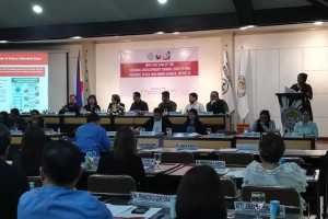 DOT banks on domestic visitors to boost sector in W. Visayas