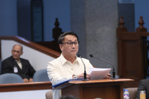 Solon asks DOTr to use vacant passenger ships as hospitals