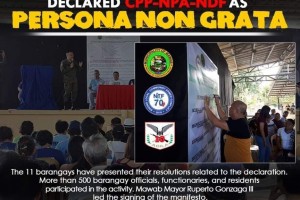 3 Davao de Oro towns declare CPP-NPA persona non grata