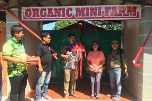 Organic farm in Ilocos Norte school makes learning more fun