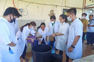 Ilocos Norte SUC helps produce alcohol vs. coronavirus