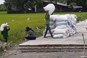 Antique has enough rice for 2 to 3 months