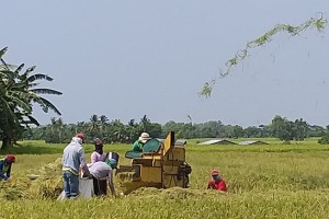 Digital innovation, gov't support to buoy agri sector