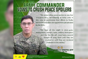 Army commander lauds successful combat operation in Iloilo
