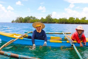 Red tide persists in 2 Samar bays