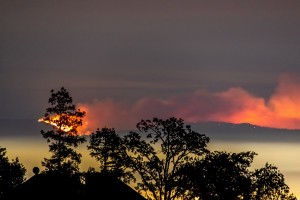 Over 7K fires burn 1.5M acres of land in California