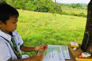 Treehouse serves as virtual classroom for Bohol kid