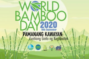 DENR bats for sustainable bamboo industry in PH