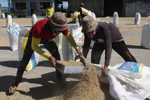 Over 173K farmers in Ilocos Region get cash aid