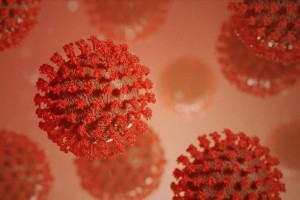 US CDC acknowledges airborne coronavirus transmission