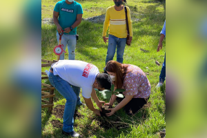 Surigao Sur town to plant 1.3 million trees by 2021