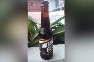 Batanes agripreneur starts production of sweet potato beer