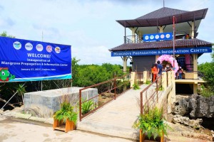 Metro Pacific group opens mangrove center in Cebu town