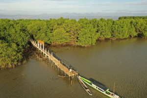  ASEAN mulls more wetlands as heritage parks