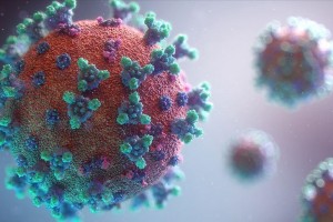 SARS-CoV-2 virus present in France since November 2019