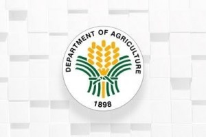 DA logs P107-M agri losses due to Ferdie, ‘habagat’