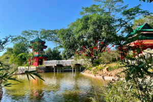 Ilocos Norte's Chinese Garden opens to public
