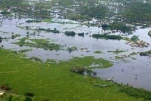 BARMM bill filed to tap potentials of Liguasan marsh