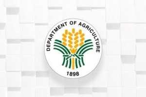 Farmers in Bicol get P400-M fertilizer subsidy