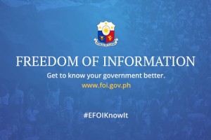 Keep eFOI accessible to public, next admin urged