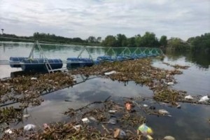 Trash traps collect 124 tons of waste along rivers in C. Luzon 