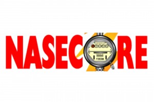 Nasecore opposes House inquiry on NEA