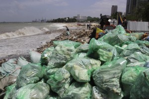 Program to fight ocean plastic pollution launched in Parañaque